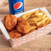 TERIYAKI NUGGETS COMBO